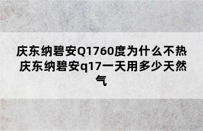 庆东纳碧安Q1760度为什么不热 庆东纳碧安q17一天用多少天然气